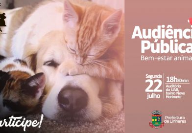 Prefeitura realiza audiência pública sobre bem-estar e proteção de animais Prefeitura realiza audiência pública sobre bem-estar e proteção de animais
